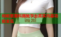 何屹繁黑料揭秘平台真实内幕功能全览