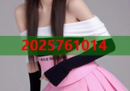 光合积木CV黑料揭秘平台功能与实用价值