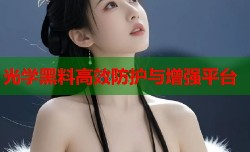 光学黑料高效防护与增强平台