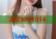 光学黑料模具设计高精度成形与应用平台