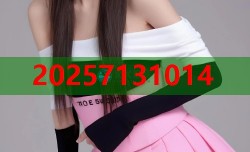 刘邵子洋黑料揭秘平台快速查真相
